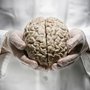 The more than 9,000 brains from the psychiatric hospital are being transferred to a new brain research centre under the Region of Southern Denmark. Model photo: Lars Kruse/AU.