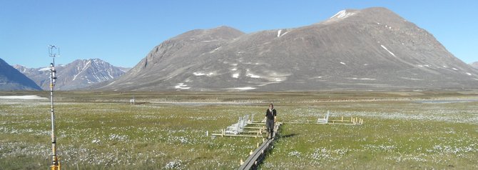 Measuring equipment in Rylekæret fen, Zackenberg. Photo: Laura Helene Rasmussen, Aarhus University.