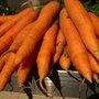 Har det nogen betydning, om gulerødder kommer et specifikt sted fra? Foto: Janne Hansen