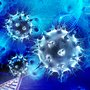 I studiet har forskerne for første gang vist, hvordan immunforsvaret bliver aktiveret, så det nedbryder bakterier.