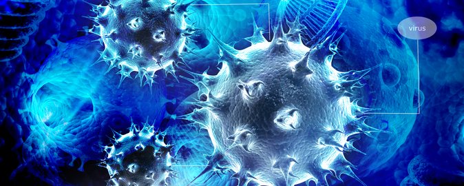 Forskere fra Institut for Biomedicin står bag et af de ti nominerede forskningsresultater. De har vist, hvordan immunsystemet bliver aktiveret, så det nedbryder bakterier.