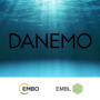 Picture of the DANEMO logo.