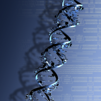 RNA double helix