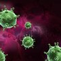 The influenza virus initially cheats the immune mechanism, which enables it to spread before being detected.