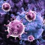 Immunforsvaret beskytter kroppen mod virus gennem en tidlig reaktion, som indtil nu har været helt ukendt.