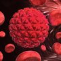 Aarhusianske forskere kan nu dokumentere, at patienter, der har bestemte mutationer i deres kræftsvulst, vil få en meget aggressiv form for blærekræft.