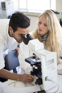 [Translate to English:] Medicinstuderende ved et mikroskop