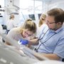 "Vi har svært ved at se, hvordan man skal opnå et så stort patientgrundlag til en tredje tandlægeuddannelse i en kommune med færre end 65.000 indbyggere," skriver de to institutledere i Jyllands-Posten. Foto: Lars Kruse
