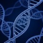 Aarhus University and the Central Denmark Region set up a joint centre for genome data